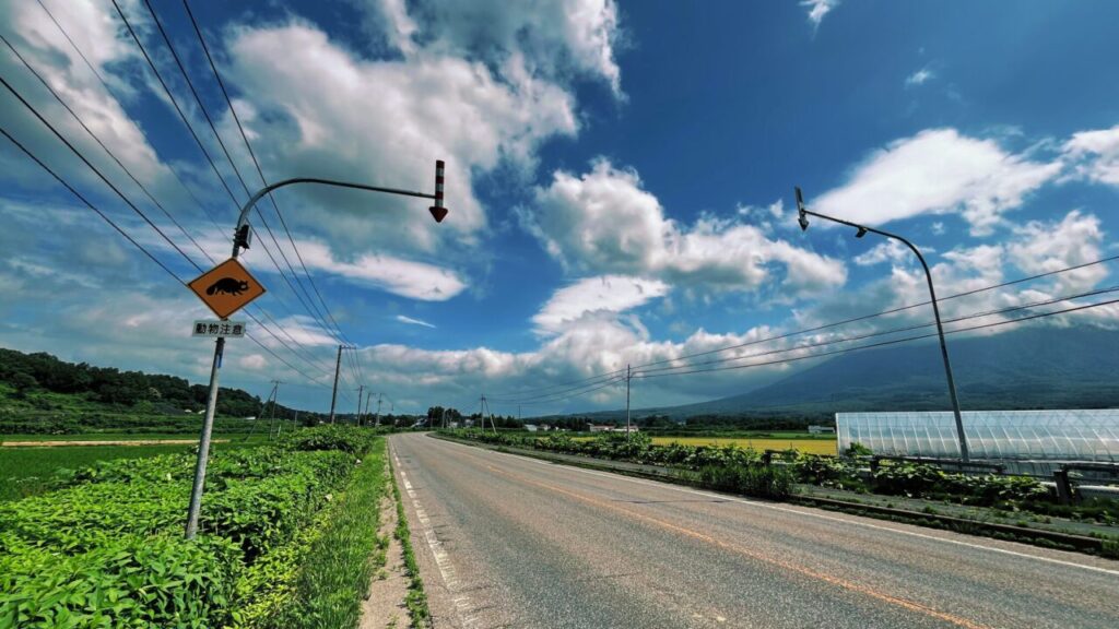 帰りもいい天気！右手に羊蹄山。