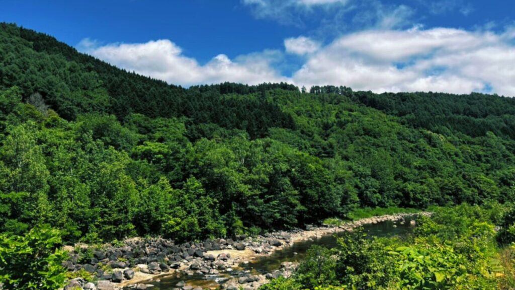 北湯沢の温泉街に流れる川のある絶景