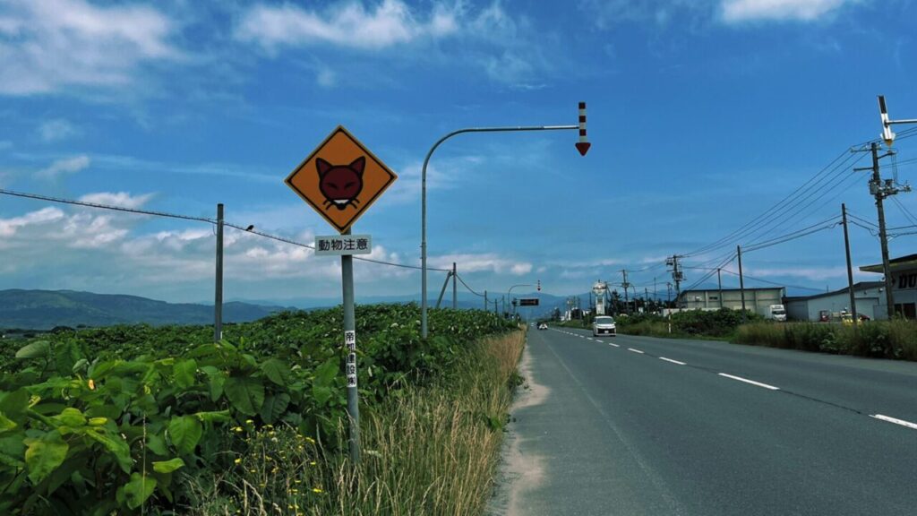 動物注意が赤いきつねだ。緑のたぬきは？